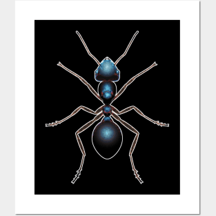 Blue Ant Posters and Art